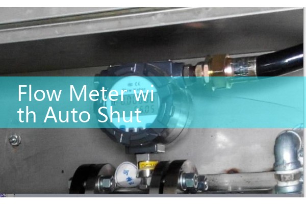 Endress Hauser Flow Meter Promass 300 Manual Guide: Advanced Coriolis Setup and Diagnostics